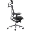 Image de REKT RGo Max Business Chaise de Bureau Ergonomique Haute qualité Confort - Accoudoirs 4D, appuie tête, réglage Cervical, Lombaire, Profondeur d'assise, Supporte jusqu'à 150 kg