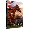 Image de Dream Horse DVD en occasion ou reconditionné