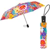 Image de Pylones, parapluie pliant automatique - Bouquet