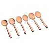 Image de Coffret 6 petites cuillères NILS - Copper