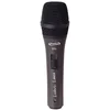 Image de Prodipe TT1 Lanen Microphone chant dynamique Noir