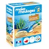 Image de Mako Moulages - Kit Créatif - Le Requin - Moulage en Plâtre à Peindre - 5 Pots de Gouache pour Personnaliser - Loisirs Créatifs pour Enfants - Moules réutilisables - Made In France - Dès 5 ans - 39103