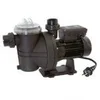 Image de guinard - pompe piscine guinard 450W 10.5m3/h