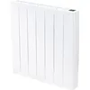 Image de DALBEOWI-CONTROL1022 Radiateur liquide 1000 W Blanc