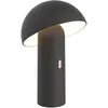 Image de Lampe de table sans fil - LUMISKY - TOD BLACK - H28 cm - Tête orientable - LED blanc chaud