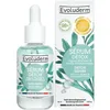 Image de EVOLUDERM   Sérum Détox aux Algues Marines et Acide Hyaluronique - 30 ml - 98% d’Origine Naturelle - Végan - Fabrication Française