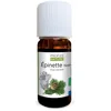 Image de Huile essentielle d'Epinette noire Bio - Picea mariana leaf oil - 10ml - PROPOS'NATURE