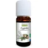 Image de Huile essentielle de Cyprès Bio - Cupressus sempervirens Oil - 10ml- PROPOS'NATURE