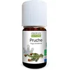 Image de Huile Essentielle de Pruche Bio - Tsuga canadensis leaf extract - 100% pure et naturelle - 5ml - PROPOS'NATURE