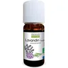 Image de Huile essentielle de Lavandin super Bio - Lavandula hybrida oil - 100% pure et naturelle -10ml - PROPOS'NATURE