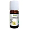 Image de Huile essentielle de Fenouil Bio - Foeniculum vulgare oil - 100% Pure et naturelle - 10ml - PROPOS'NATURE