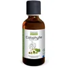 Image de HUILE VEGETALE CALOPHYLLE BIO 50ml**