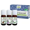 Image de Aroma'kit Muscl'art - 3 huiles essentielles bio - Propos'Nature - Certifié Biologique