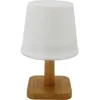 Image de Lampe de table solaire GALIX G4410 - 25 Lumens - H20 cm