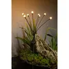 Image de Decoration lumineuse solaire GALIX G4435 - Forme Bouquet - 8 LED - H69cm