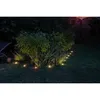 Image de Guirlande solaire à planter 10 LED blanches - GALIX - 5m - 05W - 100 Lumens - 8h déclairage