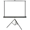 Image de Écrans de projection portables Lumene Arcadia 150 (1:1)