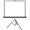 Image de Écrans de projection portables Lumene Arcadia 200V (4/3)