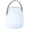 Image de Lampe LED LUMISKY mini baladeuse BT sans fil LED + télécom