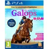Image de Réussir : Galops 1 à 7 (Playstation 4)