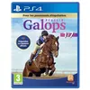 Image de Réussir : Galops 1 à 7 PS4 en occasion ou reconditionné