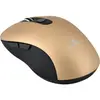 Image de BLUESTORK - M-WL-OFF 60-GOLD
