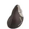 Image de Urban Factory Mouse/Ergo Wireless - for Righthander