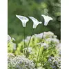Image de WATT&HOME - Arum WATT&HOME 401152 - WATT-401152