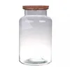 Image de Naturalys - Terrarium Bose 30cm - Bouchon Liège