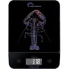 Image de Balance de cuisine - LITTLE BALANCE - 8710 - Happy Genius 10 - USB - Sans pile - Blue Homard