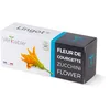 Image de Lingot® Fleur de Courgette Bio - Compatible Potager d'Intérieur Véritable® et Exky® - Recharge prête à l'emploi - Substrat avec Graines Intégrées 