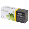 Image de Lingot® Laitue Batavia BIO - Compatible Potager d'Intérieur Véritable® et Exky® - Recharge prête à l'emploi - Substrat avec Graines Intégrées