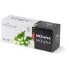 Image de Lingot® Mizuna BIO - Compatible Potager d'Intérieur Véritable® et Exky® - Recharge prête à l'emploi - Substrat avec Graines Intégrées