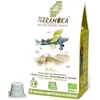 Image de Capsules TERRA MOKA x15 ARTHUR compostables