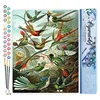 Image de Figured'Art Peinture par Numéro Adulte Tous les oiseaux - Activité Manuelle Kit de Loisir Créatif DIY Numéro d'Art Complet - 40x50cm sans châssis en bois