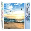 Image de Figured'Art Peinture par Numéro Adulte Oiseaux à la Plage - Activité Manuelle Kit de Loisir Créatif DIY Numéro d'Art Complet - 40x50cm sans châssis en bois
