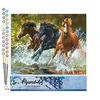 Image de Figured'Art Peinture par Numéro Adulte Chevaux de Camargue - Activité Manuelle Kit de Loisir Créatif DIY Numéro d'Art Complet - 40x50cm sans châssis en bois