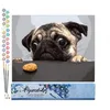 Image de Figured'Art Peinture par Numéro Adulte Chien Carlin Gourmand - Activité Manuelle Kit de Loisir Créatif DIY Numéro d'Art Complet - 40x50cm sans châssis en bois