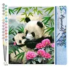 Image de Figured'Art Peinture par Numéro Adulte Pandas Géants - Activité Manuelle Kit de Loisir Créatif DIY Numéro d'Art Complet - 40x50cm sans châssis en bois