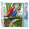 Image de Figured'Art Peinture par Numéro Adulte Perroquets sous les tropiques - Activité Manuelle Kit de Loisir Créatif DIY Numéro d'Art Complet - 40x50cm sans châssis en bois