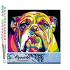 Image de Figured'Art Peinture par Numéro Adulte Bulldog Pop Art - Activité Manuelle Kit de Loisir Créatif DIY Numéro d'Art Complet - 40x50cm sans châssis en bois