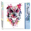 Image de Figured'Art Peinture par Numéro Adulte Chouette rose moderne - Activité Manuelle Kit de Loisir Créatif DIY Numéro d'Art Complet - 40x50cm sans châssis en bois