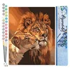 Image de Figured'Art Peinture par Numéro Adulte Couple Lion et Lionne - Activité Manuelle Kit de Loisir Créatif DIY Numéro d'Art Complet - 40x50cm sans châssis en bois