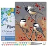 Image de Figured'Art Peinture par Numéro Adulte avec Cadre Oiseaux et Arbre Fruitier - Activité Manuelle Kit de Loisir Créatif DIY Numéro d'Art Complet - 40x50cm toile tendue sur châssis