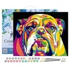 Image de Figured'Art Peinture par Numéro Adulte avec Cadre Bulldog Pop Art - Activité Manuelle Kit de Loisir Créatif DIY Numéro d'Art Complet - 40x50cm toile tendue sur châssis