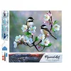 Image de Figured’Art Diamond Painting Broderie Diamant 40x50cm Toile Entière Roulée avec Strass Perles Carrés - Petits Oiseaux et Fleurs Blanches Kit Complet Animaux 5D DIY Activité Manuelle Loisirs Créatifs