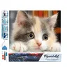 Image de Figured’Art Diamond Painting Broderie Diamant 40x50cm Toile Entière Roulée avec Strass Perles Carrés - Petit Chat curieux - Kit Complet Animaux 5D DIY Activité Manuelle Loisirs Créatifs Adultes