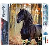 Image de Figured’Art Diamond Painting Broderie Diamant 40x50cm Toile Entière Roulée avec Strass Perles Carrés - Jument noire - Kit Complet Cheval 5D DIY Activité Manuelle Loisirs Créatifs Adultes