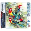 Image de Figured’Art Diamond Painting Broderie Diamant 40x50cm Toile Entière Roulée avec Strass Perles Carrés - Les Perroquets sur Branche - Kit Complet Animaux 5D DIY Activité Manuelle Loisirs Créatifs
