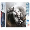 Image de Figured’Art Diamond Painting Broderie Diamant 40x50cm Toile Entière Roulée avec Strass Perles Carrés - Cheval gris élégant - Kit Complet Animaux 5D DIY Activité Manuelle Loisirs Créatifs Adultes